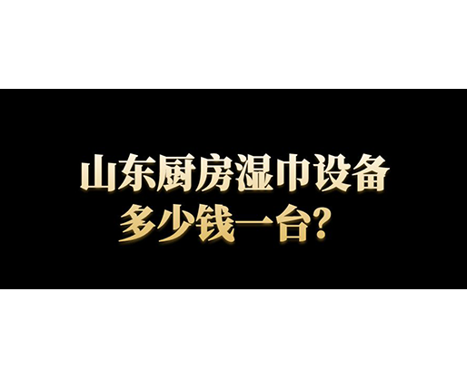 山東廚房濕巾設(shè)備多少錢一臺(tái)？