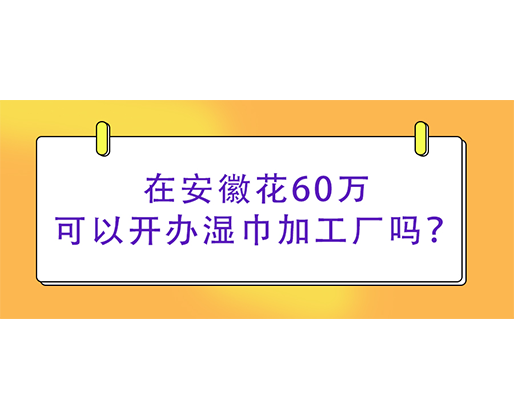 在安徽花60萬可以開辦濕巾加工廠嗎？